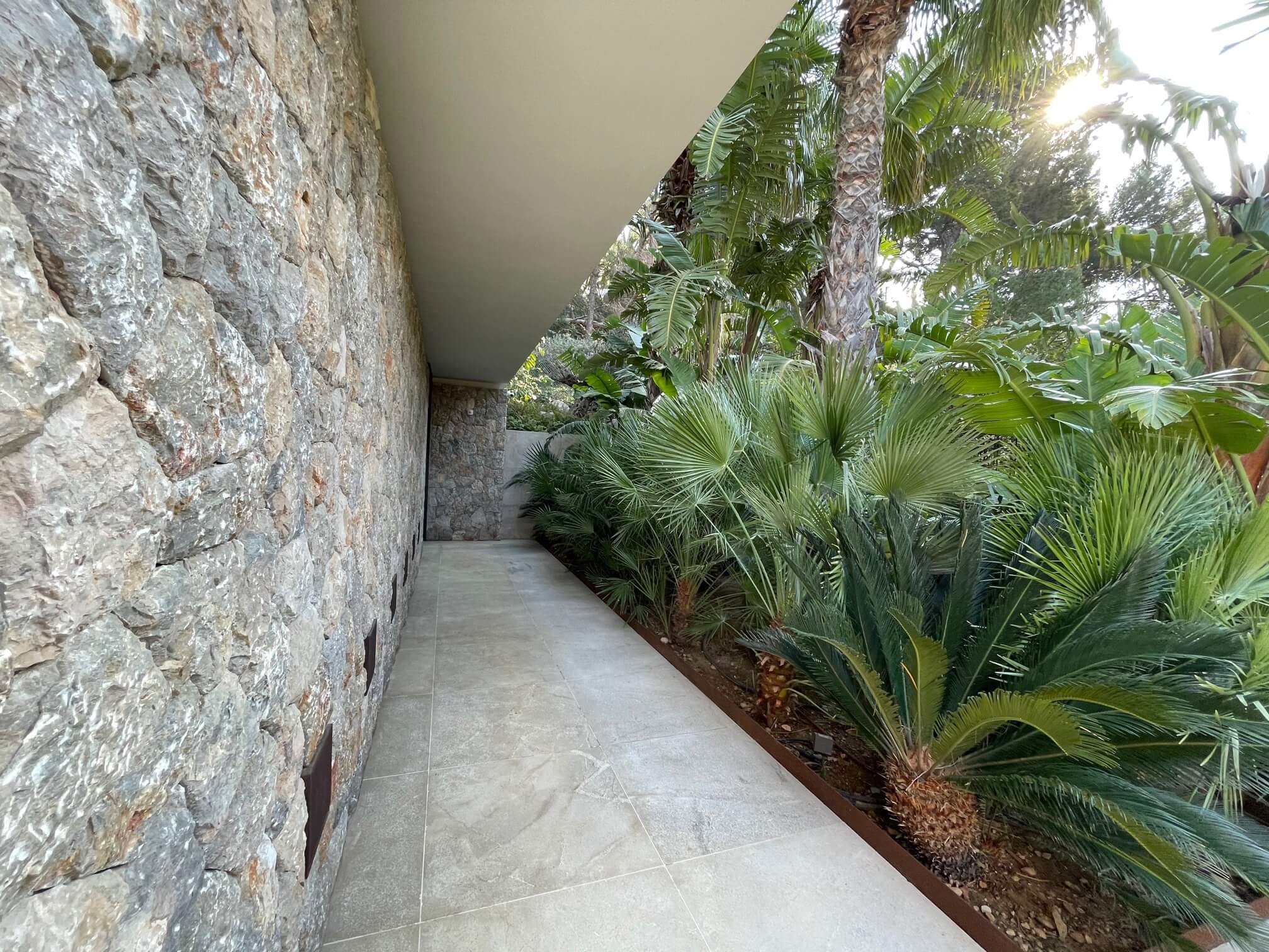 Jardin con palmeras en Mallorca