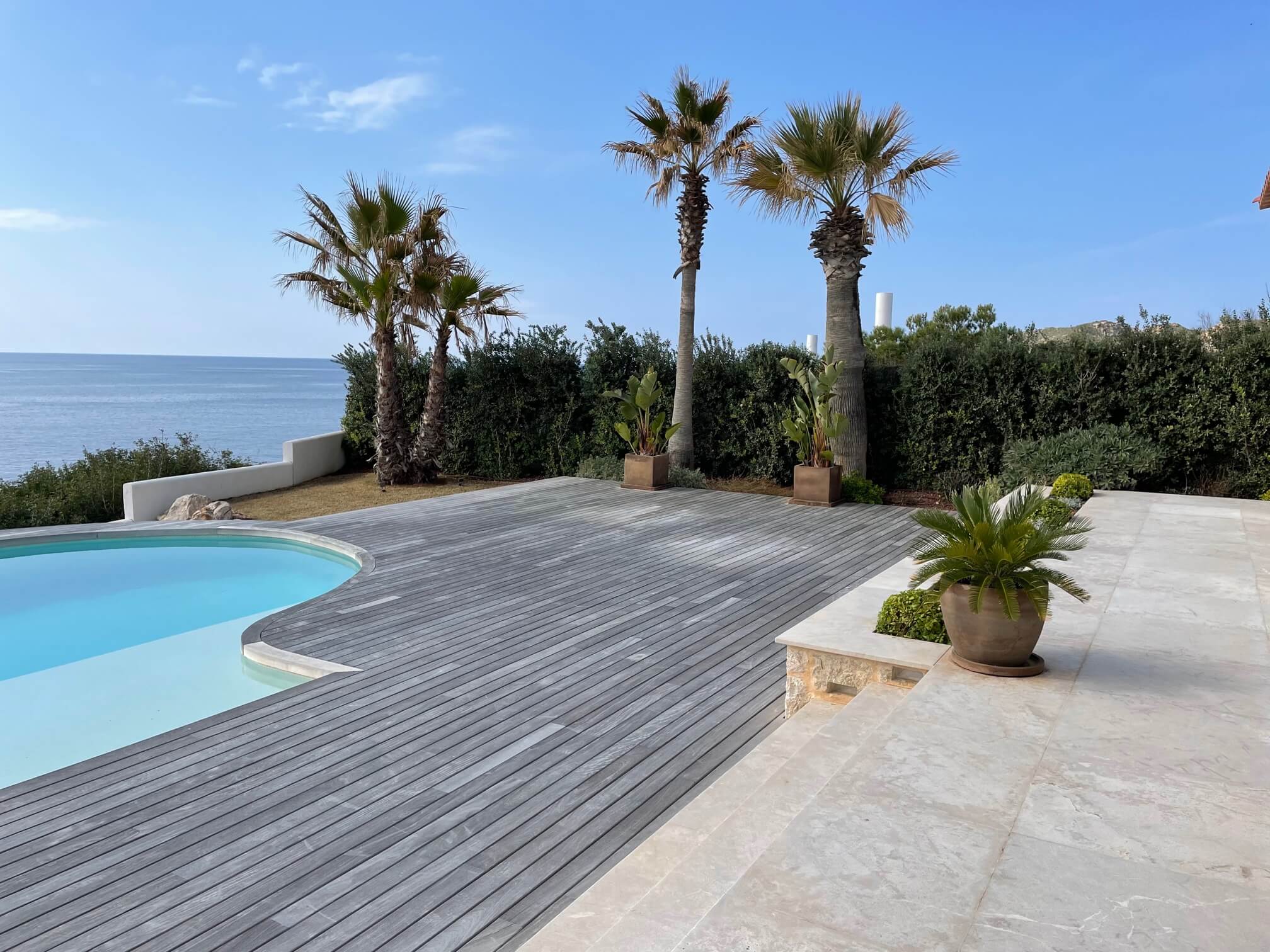Terraza con piscina y palmeras