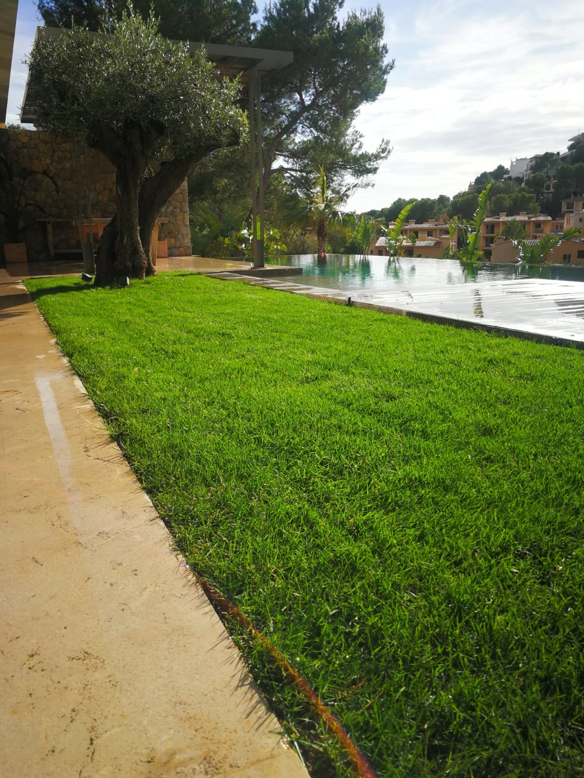 Jardin diseñado por Es Fasser en Cala Egos Mallorca
